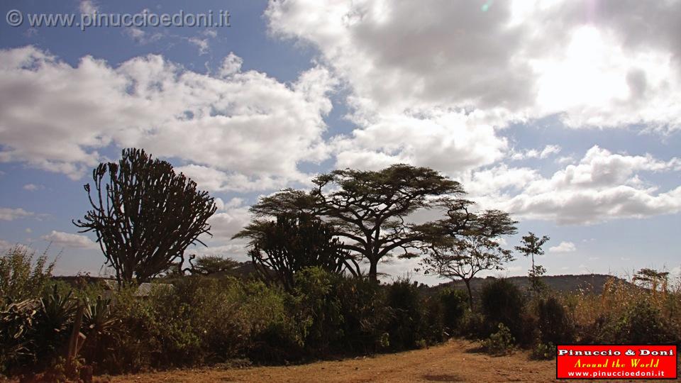 Ethiopia - Villaggio Konso - 23.jpg